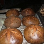 Sourdough breads making