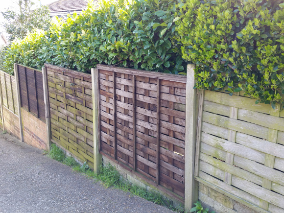 Wooden Fencing with Hedge