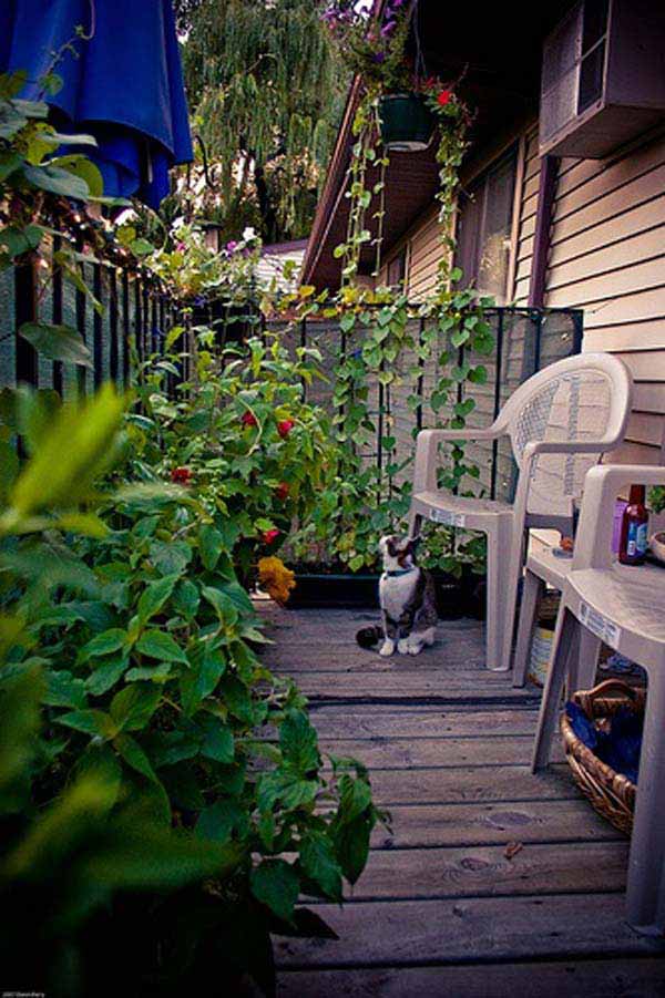 Small-Balcony-Garden-ideas-7